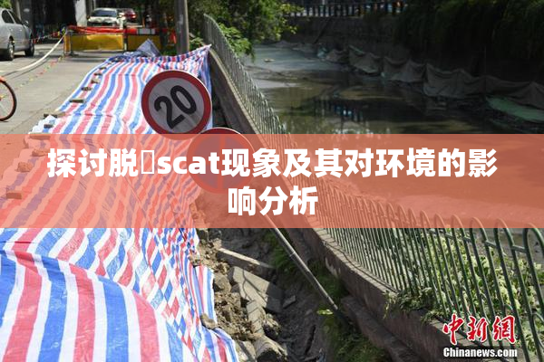 探讨脱糞scat现象及其对环境的影响分析