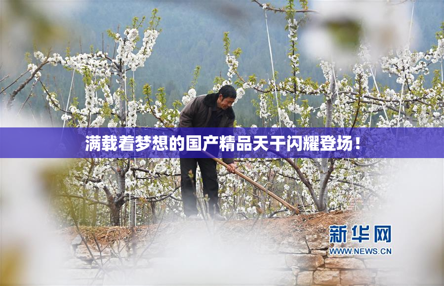 满载着梦想的国产精品天干闪耀登场！