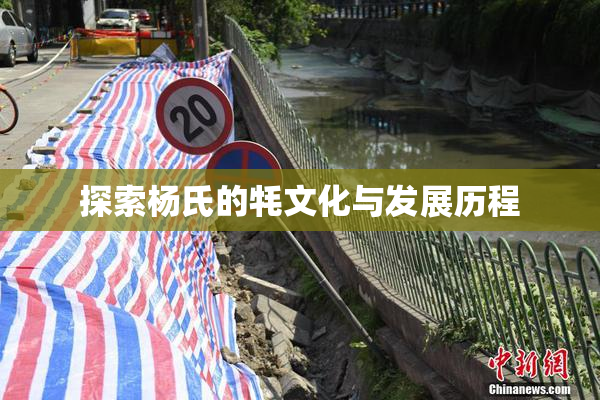 探索杨氏的牦文化与发展历程