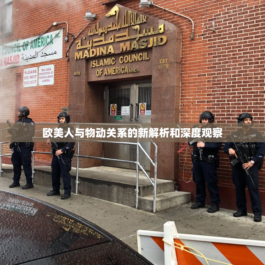 欧美人与物动关系的新解析和深度观察