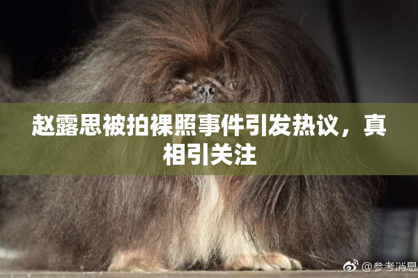 赵露思被拍裸照事件引发热议，真相引关注