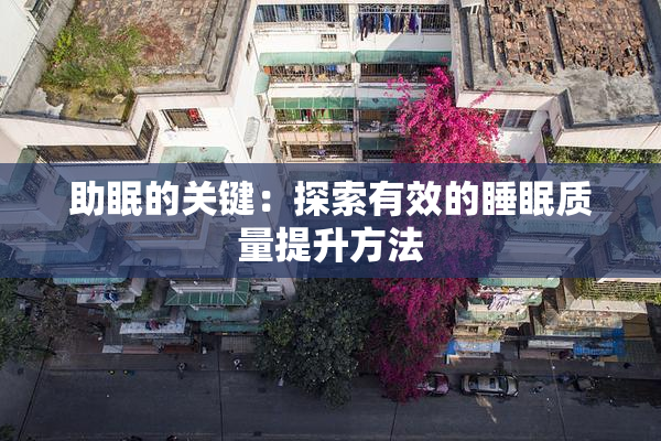 助眠的关键：探索有效的睡眠质量提升方法