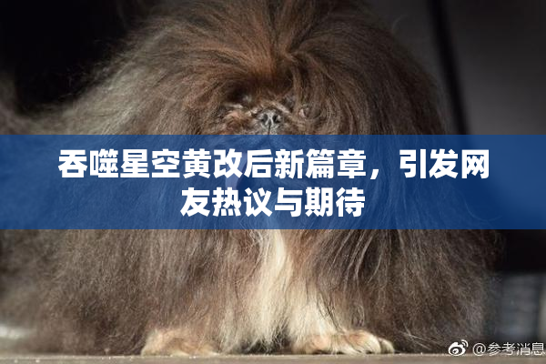 吞噬星空黄改后新篇章，引发网友热议与期待