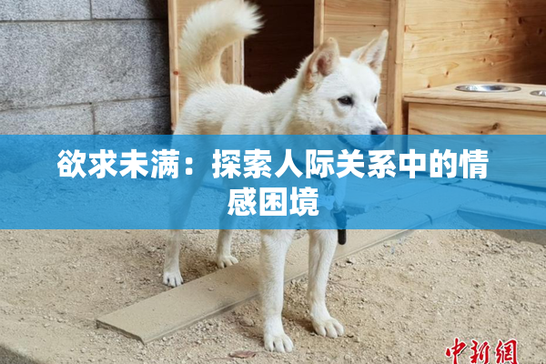 欲求未满：探索人际关系中的情感困境