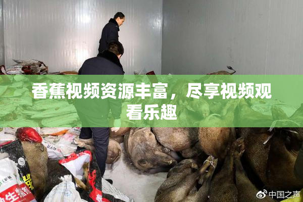 香蕉视频资源丰富，尽享视频观看乐趣