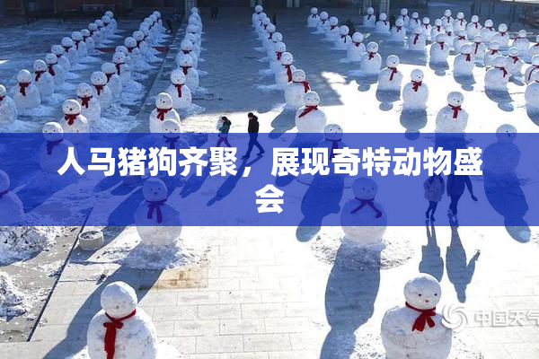 人马猪狗齐聚，展现奇特动物盛会