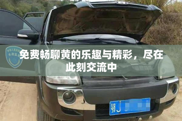 免费畅聊黄的乐趣与精彩，尽在此刻交流中