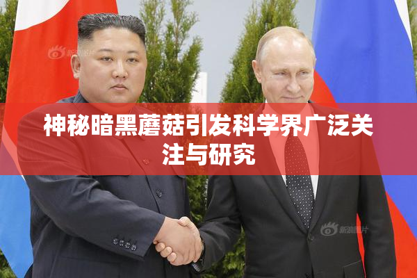 神秘暗黑蘑菇引发科学界广泛关注与研究
