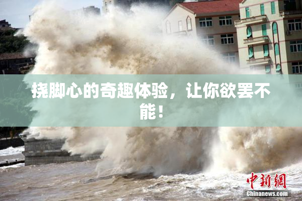 挠脚心的奇趣体验，让你欲罢不能！