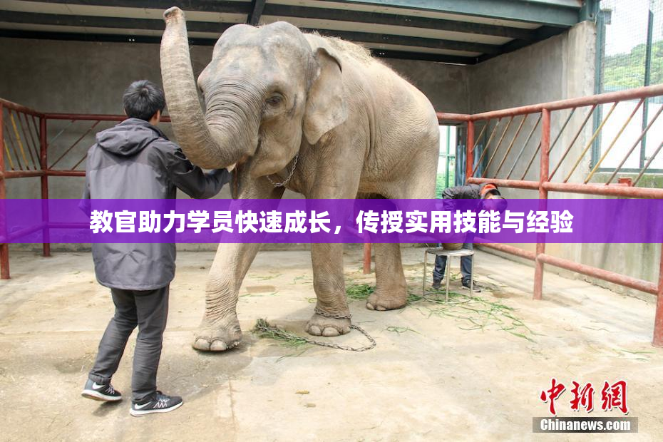 教官助力学员快速成长，传授实用技能与经验
