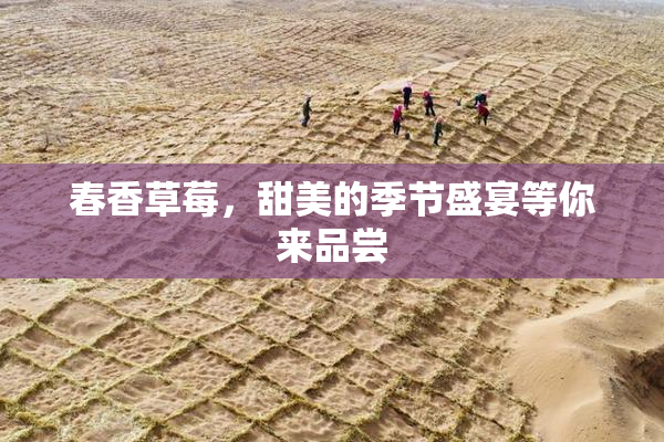 春香草莓，甜美的季节盛宴等你来品尝