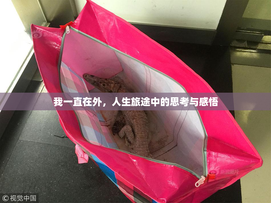 我一直在外，人生旅途中的思考与感悟