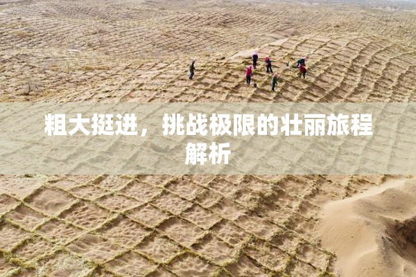 粗大挺进，挑战极限的壮丽旅程解析