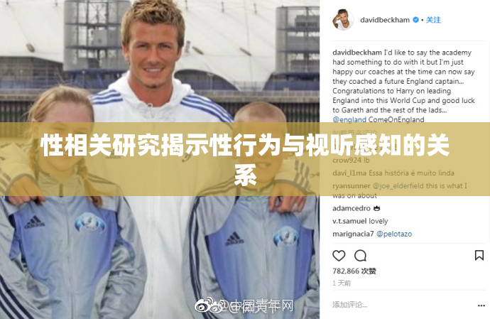 性相关研究揭示性行为与视听感知的关系