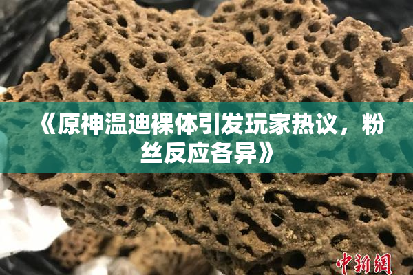 《原神温迪裸体引发玩家热议，粉丝反应各异》