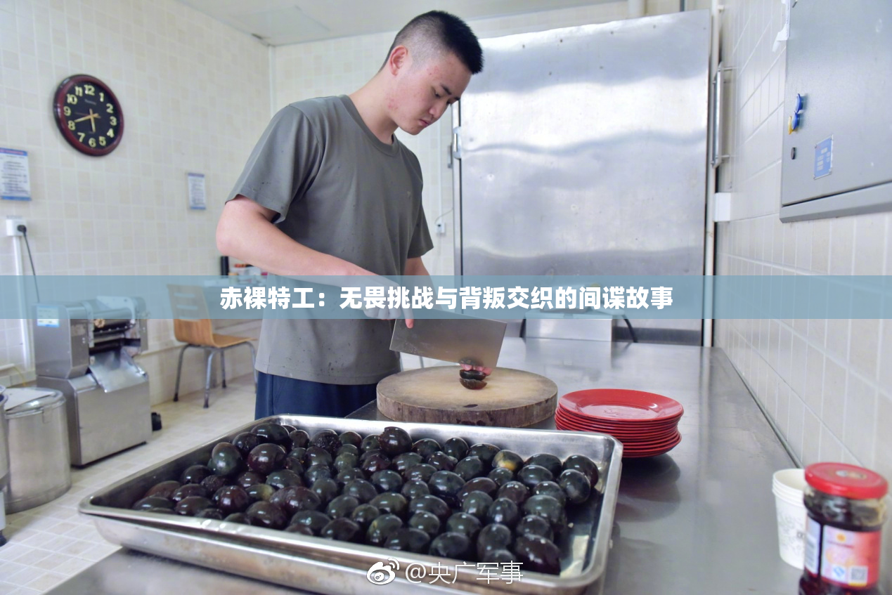 赤裸特工：无畏挑战与背叛交织的间谍故事