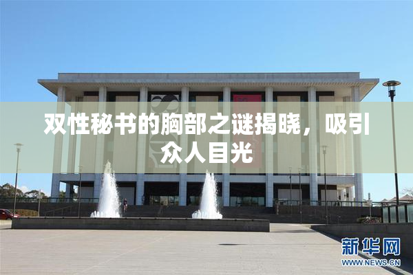 双性秘书的胸部之谜揭晓，吸引众人目光