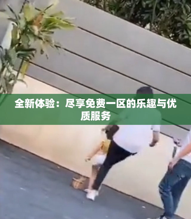 全新体验：尽享免费一区的乐趣与优质服务