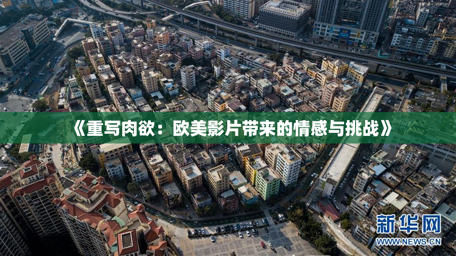 《重写肉欲：欧美影片带来的情感与挑战》