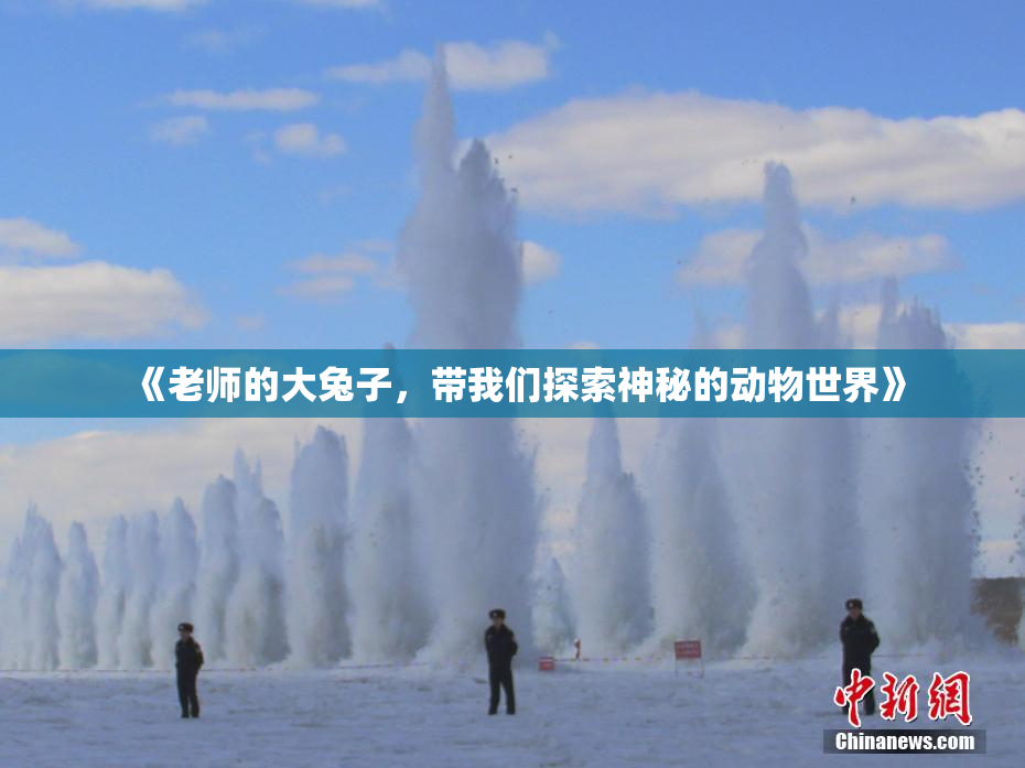《老师的大兔子，带我们探索神秘的动物世界》