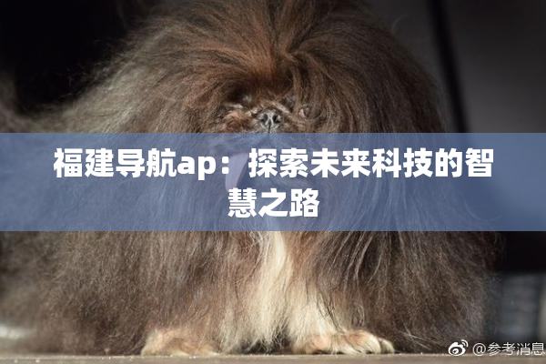 福建导航ap：探索未来科技的智慧之路