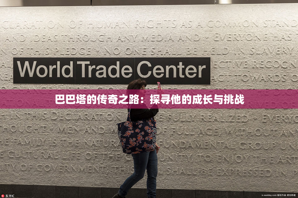 巴巴塔的传奇之路：探寻他的成长与挑战