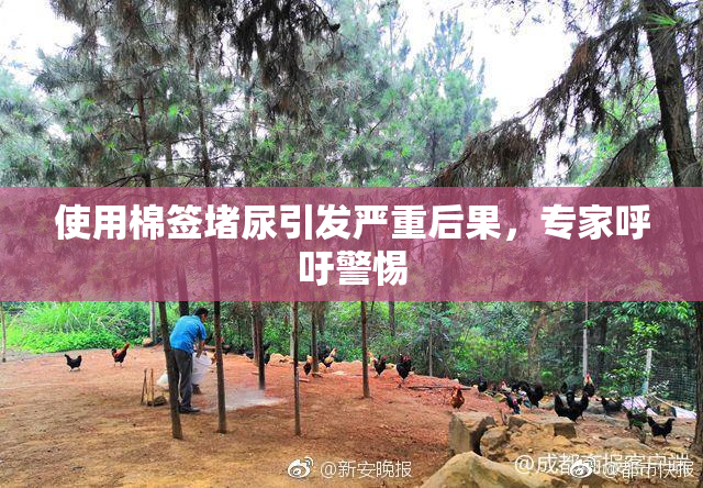 使用棉签堵尿引发严重后果，专家呼吁警惕