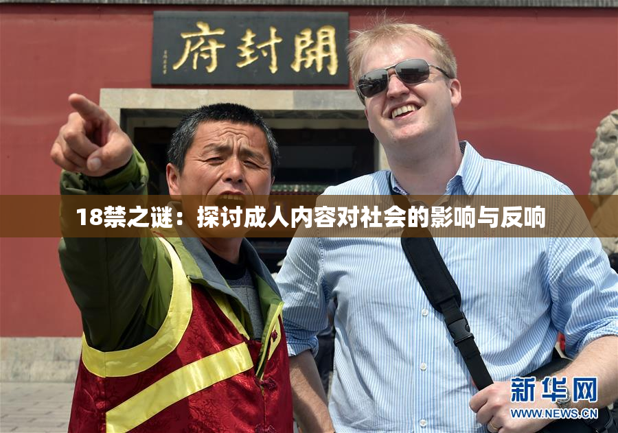 18禁之谜：探讨成人内容对社会的影响与反响