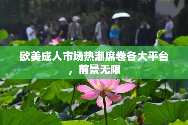 欧美成人市场热潮席卷各大平台，前景无限