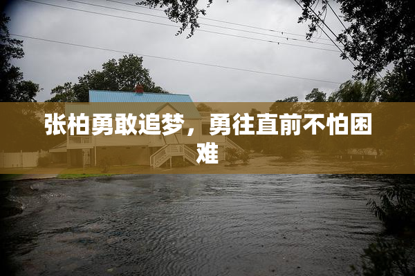 张柏勇敢追梦，勇往直前不怕困难