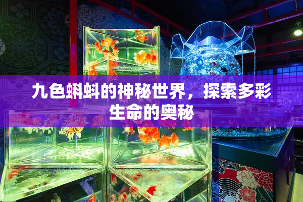 九色蝌蚪的神秘世界，探索多彩生命的奥秘