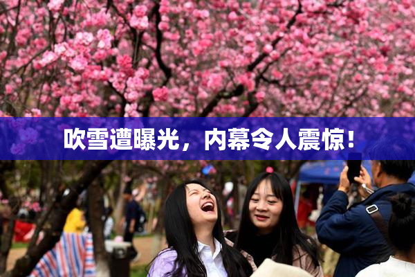 吹雪遭曝光，内幕令人震惊！