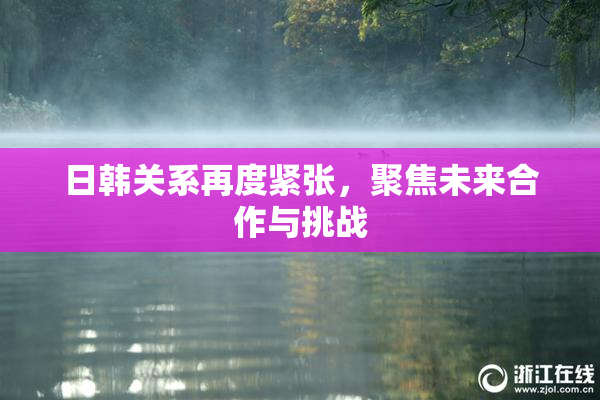 日韩关系再度紧张，聚焦未来合作与挑战