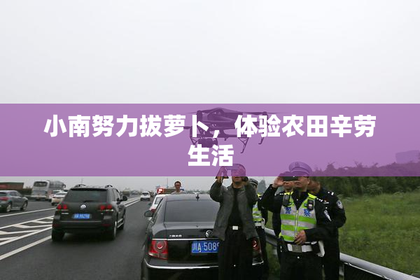小南努力拔萝卜，体验农田辛劳生活