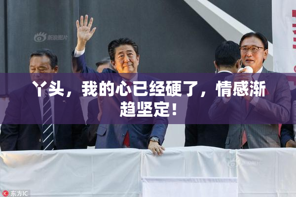 丫头，我的心已经硬了，情感渐趋坚定！