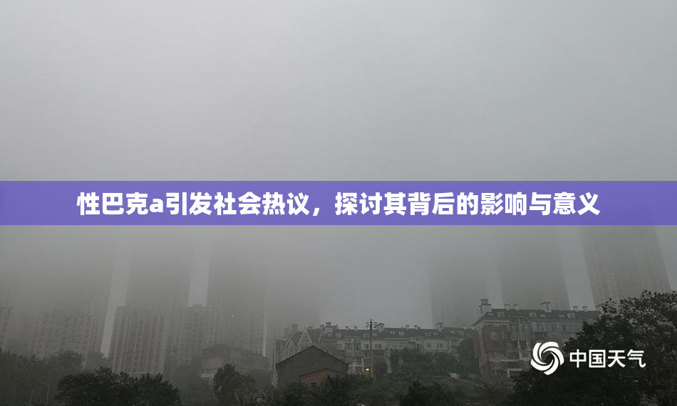 性巴克a引发社会热议，探讨其背后的影响与意义