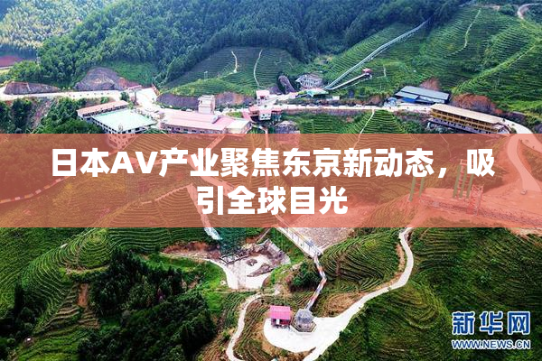 日本AV产业聚焦东京新动态，吸引全球目光
