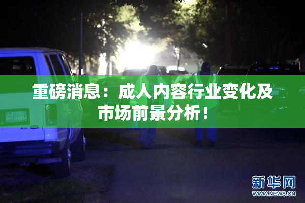 重磅消息：成人内容行业变化及市场前景分析！