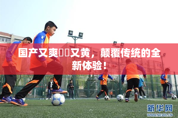 国产又爽❌‌又黄，颠覆传统的全新体验！