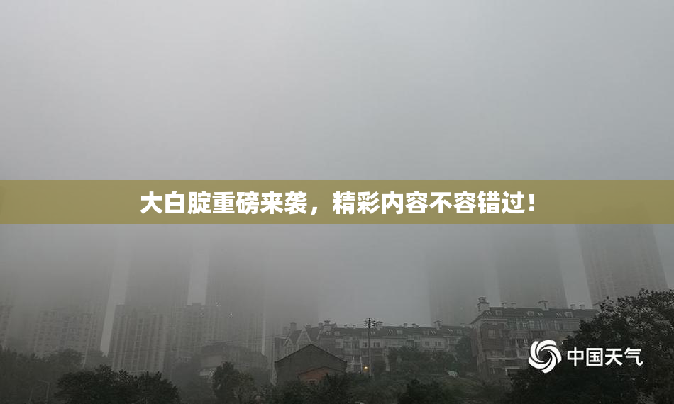 大白腚重磅来袭，精彩内容不容错过！