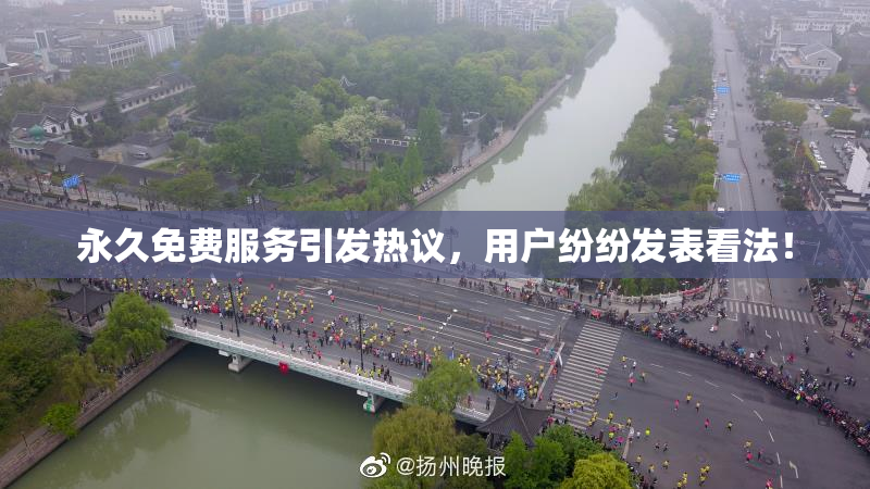 永久免费服务引发热议，用户纷纷发表看法！