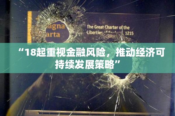 “18起重视金融风险，推动经济可持续发展策略”