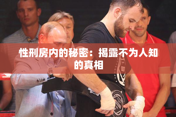 性刑房内的秘密：揭露不为人知的真相