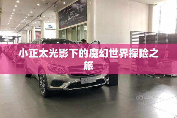 小正太光影下的魔幻世界探险之旅