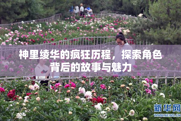 神里绫华的疯狂历程，探索角色背后的故事与魅力