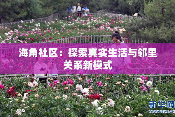 海角社区：探索真实生活与邻里关系新模式