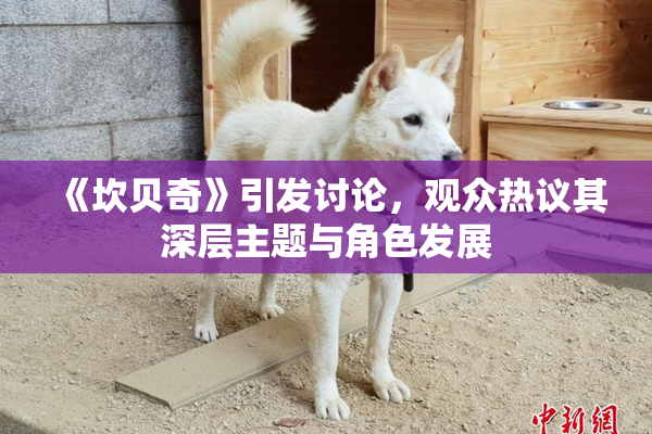 《坎贝奇》引发讨论，观众热议其深层主题与角色发展