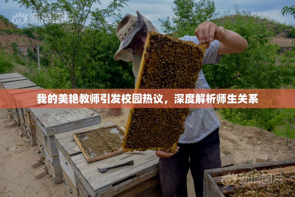 我的美艳教师引发校园热议，深度解析师生关系