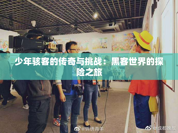 少年骇客的传奇与挑战：黑客世界的探险之旅