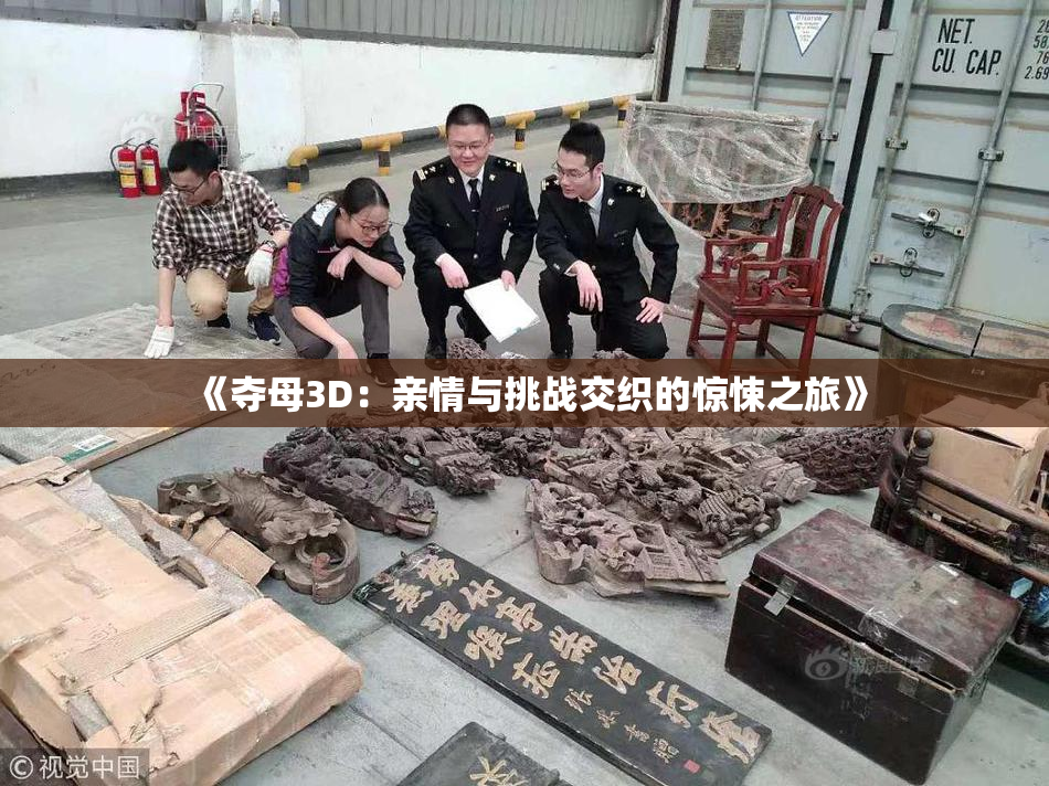 《夺母3D：亲情与挑战交织的惊悚之旅》